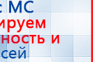 Пояс электрод купить в Сыктывкаре, Электроды Меркурий купить в Сыктывкаре, Скэнар официальный сайт - denasvertebra.ru